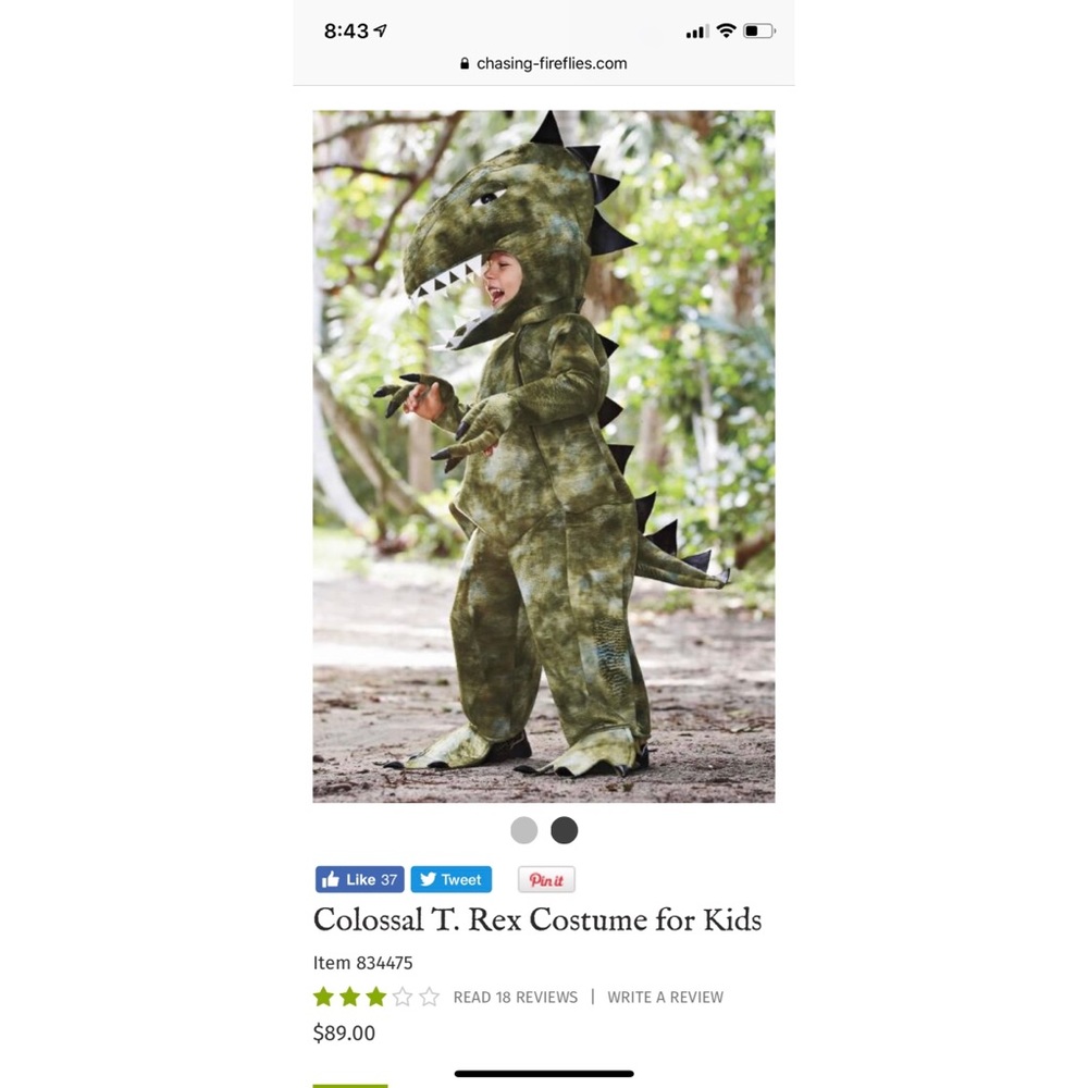Chasing Fireflies Colossal T Rex Dinosaur Costume